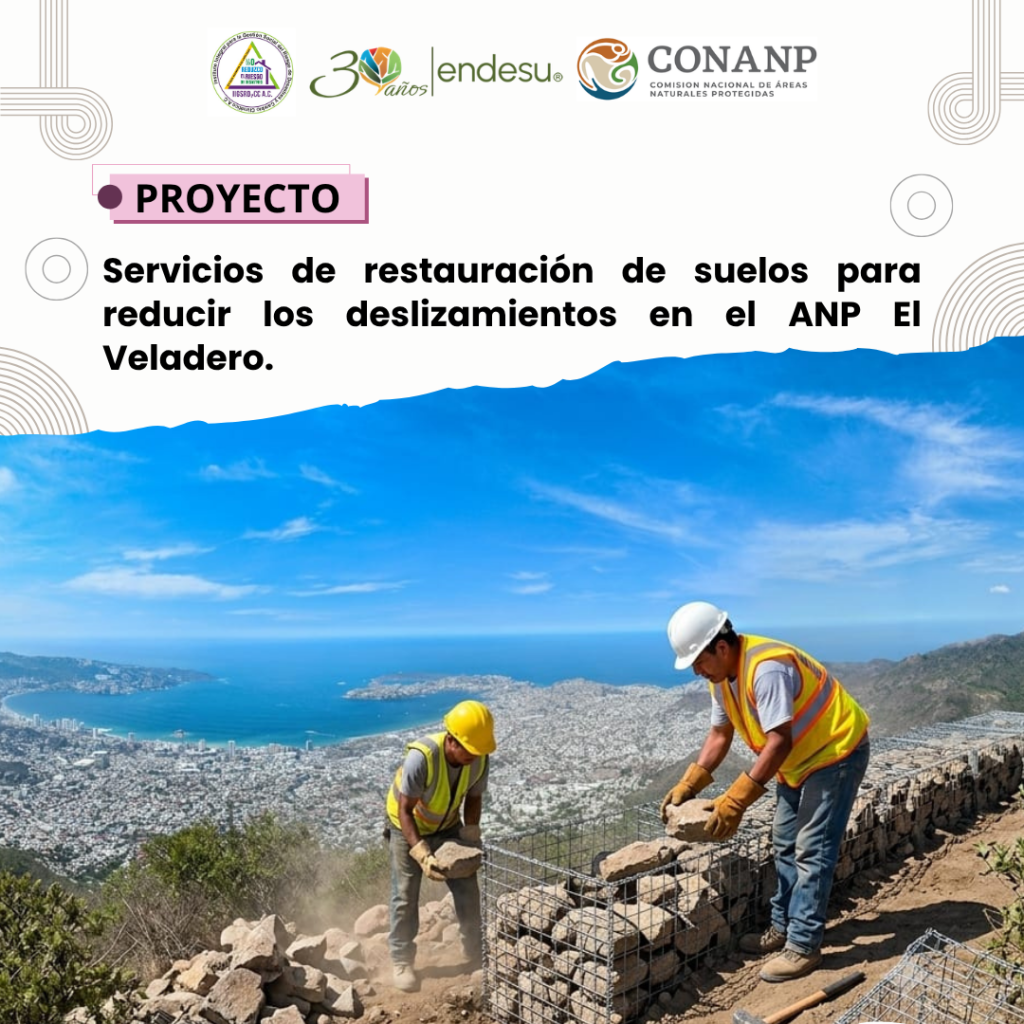 Servicios de restauración para reducir los deslizamientos en el ANP El Veladero